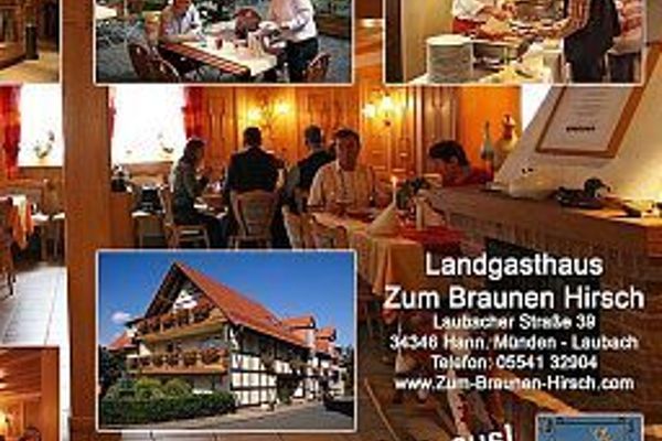 Brauner Hirsch Gasthaus (Hann. Münden)